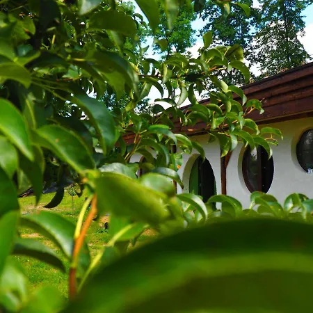 Chata Karkonoskiego Skrzata 别墅 Sosnówka