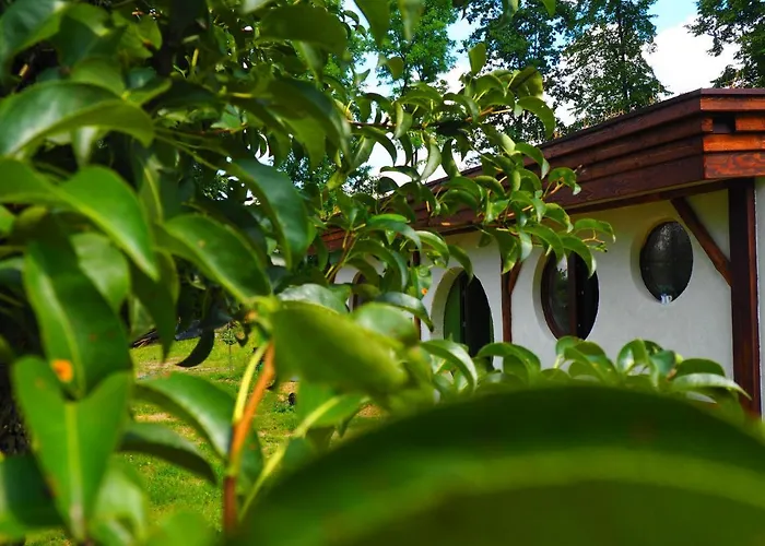 Chata Karkonoskiego Skrzata 빌라 Sosnówka